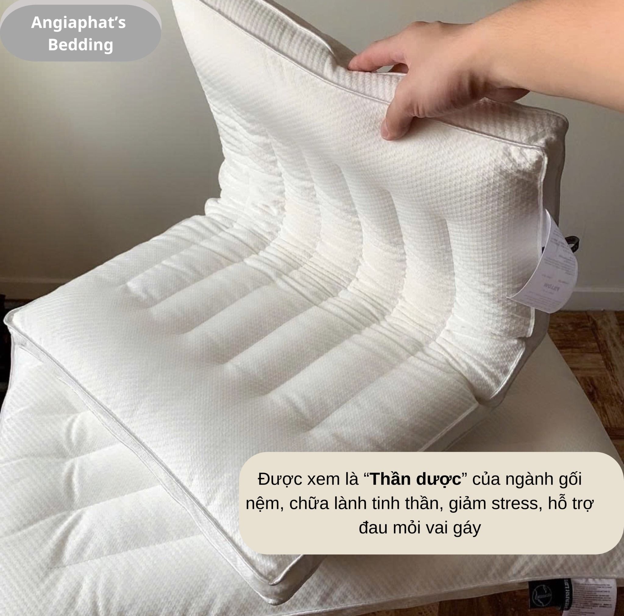 Ruột Gối Thấp 5Cm