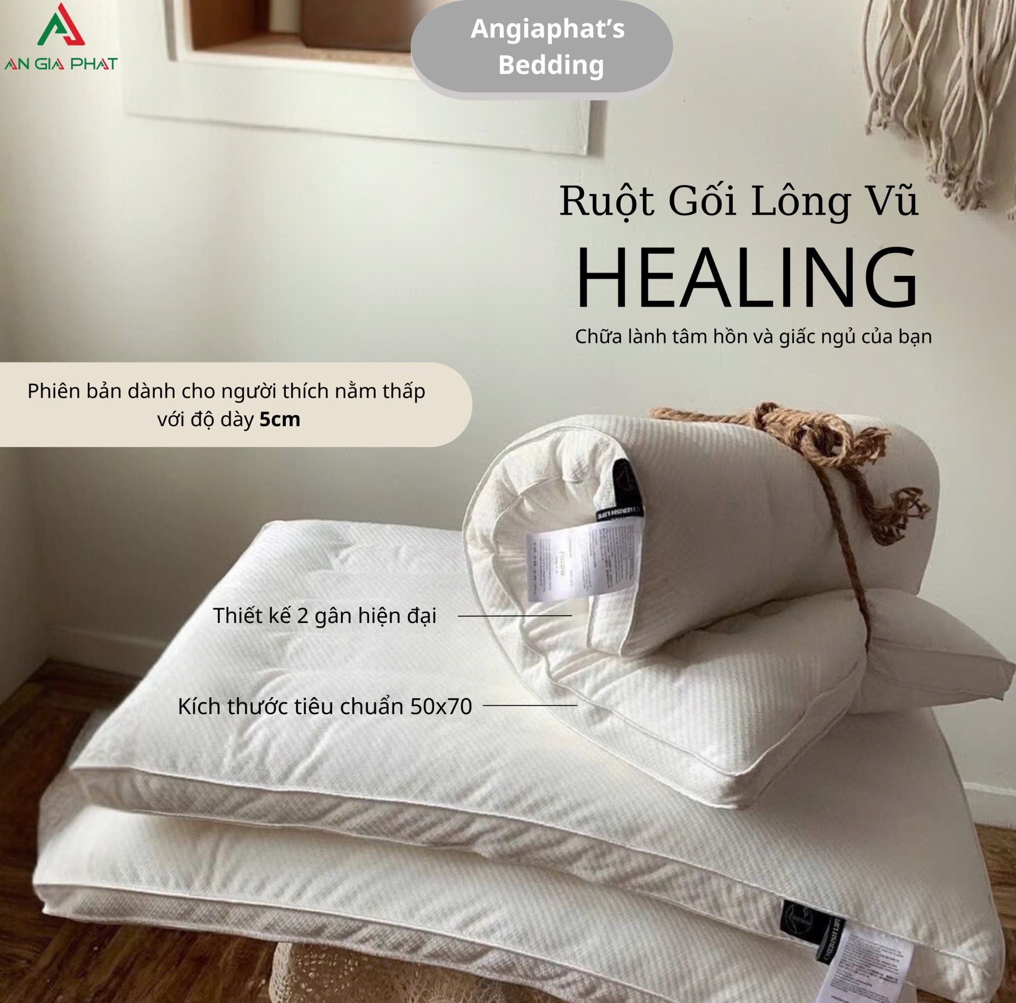 Ruột Gối Thấp 5Cm