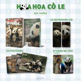  Gấu Trúc Hoa Hoa 