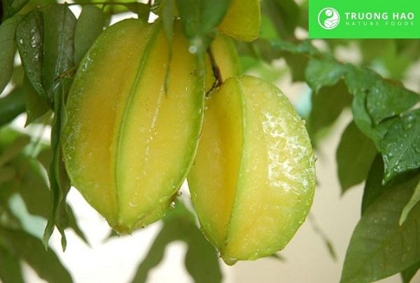 Khế xào gừng 200g