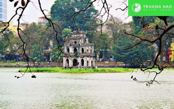 Mận cơm chua cay 500g