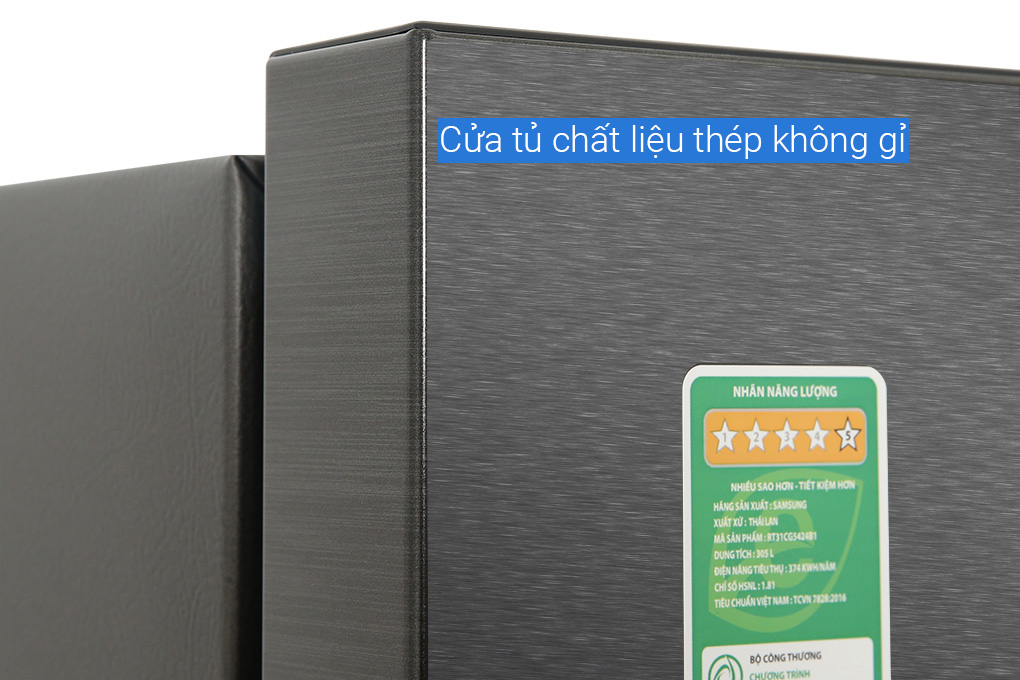 RT31CG5424B1SV - Tủ Lạnh Samsung Inverter 305 Lít