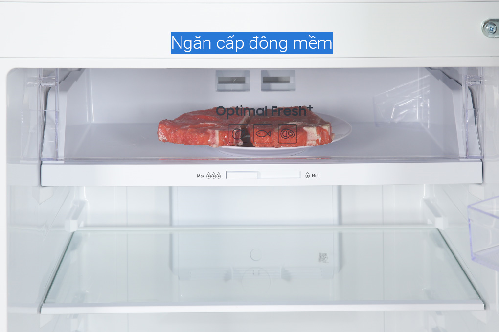 RT31CG5424B1SV - Tủ Lạnh Samsung Inverter 305 Lít