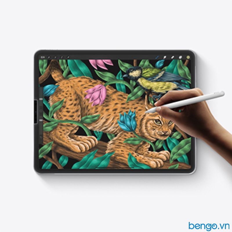 Dán Màn Hình Paper-Like IPad Mini 6 2021 MIPOW Kingbull PET Film