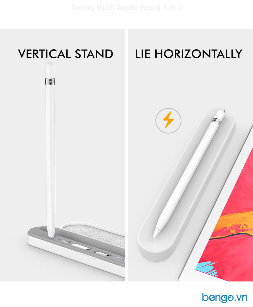 Hộp đựng và giá đỡ cho Apple Pencil hiệu Stoyobe