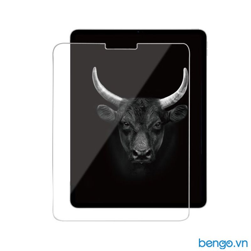 Dán cường lực iPad Pro 11