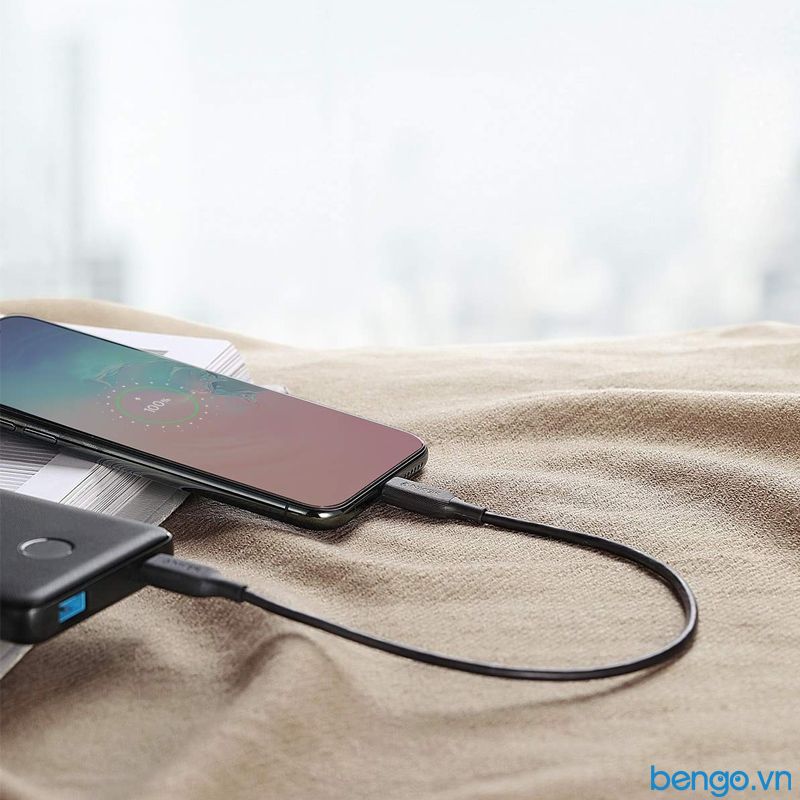 Cáp Truyền Dữ Liệu Điện Thoại Anker PowerLine III USB-C To USB-C 2.0 - Dài 0.9m/1.8m