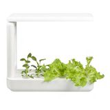 Hộp Trồng Cây EasyGrow Table Box 539.76.980