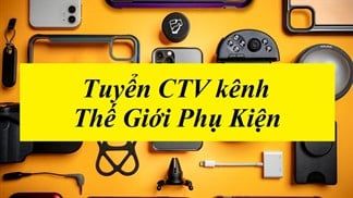 Tuyển CTV part-time cho kênh Thế Giới Phụ Kiện: Thời gian linh hoạt, lương cao, phù hợp với đối tượng sinh viên