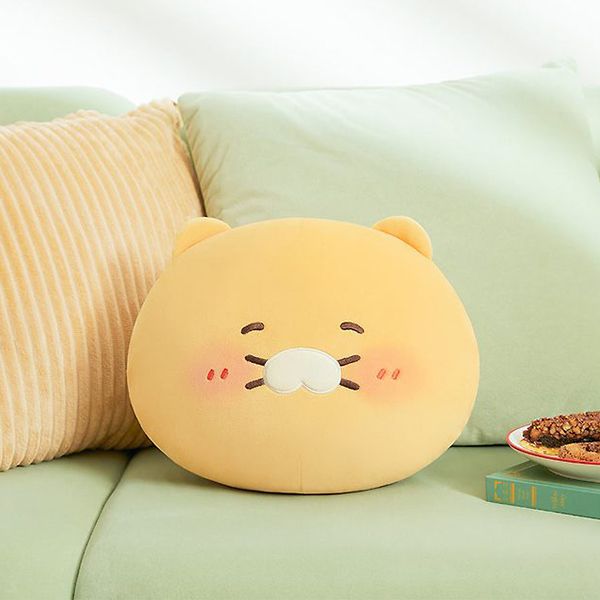Gối ôm Choonsik ngại ngùng