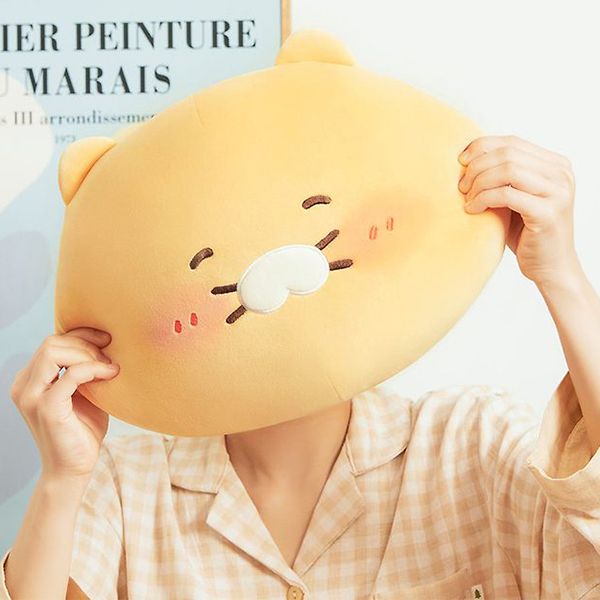 Gối ôm Choonsik ngại ngùng