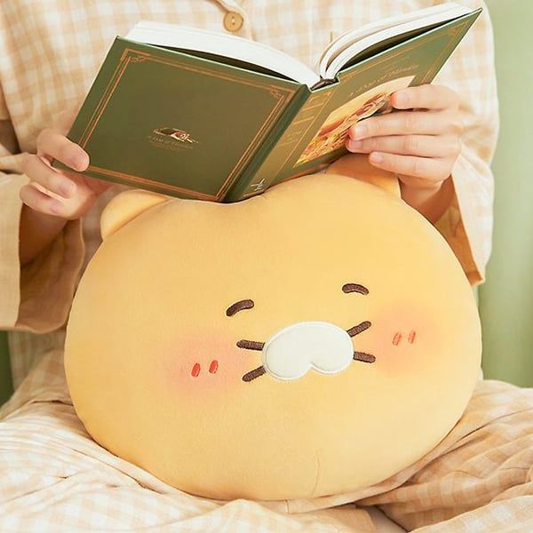 Gối ôm Choonsik ngại ngùng