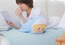 Gối ôm Dolphin Cooling_Choonsik
