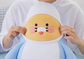 Gối ôm Dolphin Cooling_Choonsik
