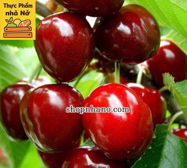Cherry