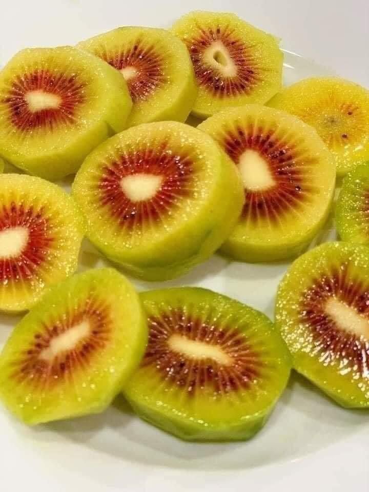 Kiwi Đỏ Đài Loan
