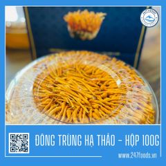 Đông Trùng Hạ Thảo - PREMIUM - Hộp 100G