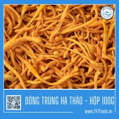 Đông Trùng Hạ Thảo - PREMIUM - Hộp 100G