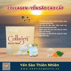 COMBO KHỎE & ĐẸP - Mua 3 Tính Tiền 2: Collagen - Yến Sào Cao Cấp