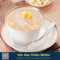 Bạch Yến - Tổ Yến Sào Nguyên Chất - Sản xuất tại Nha Trang