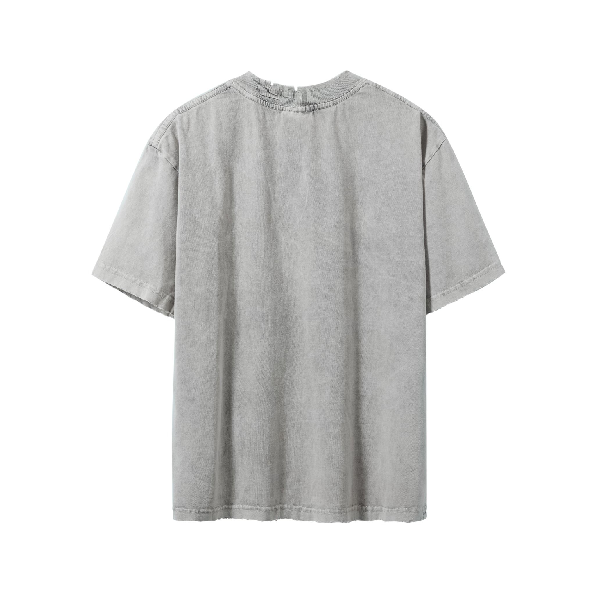 TWG35 - WASH PRINTED T-SHIRT - LIGHT GRAY