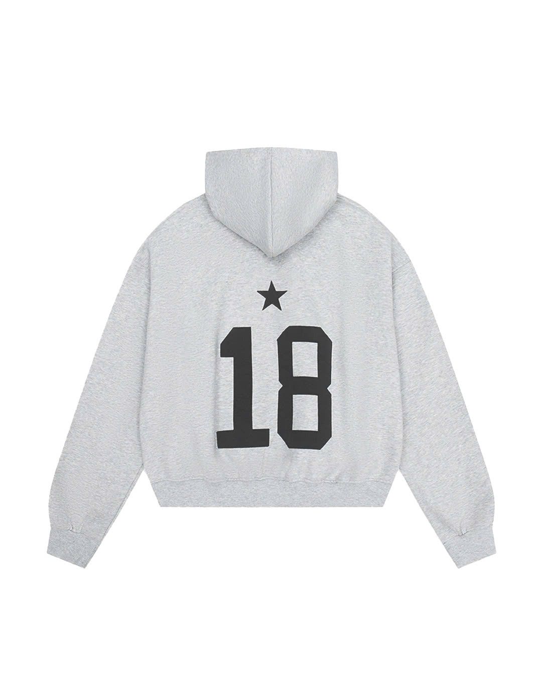 HD12- BALANCE NUMBER DOUBLE ZIP HOODIE - LIGHT GRAY VER2