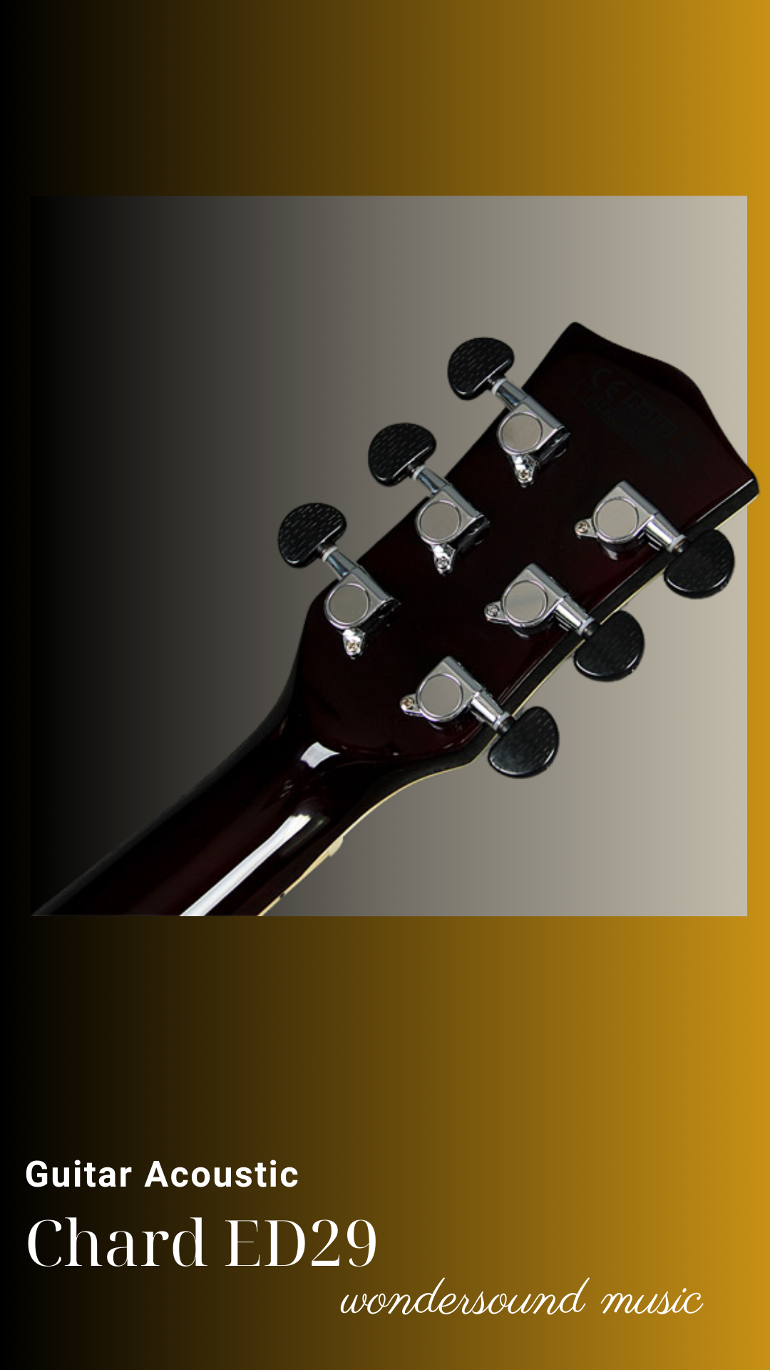 ACOUSIC GUITAR CHARD ED29