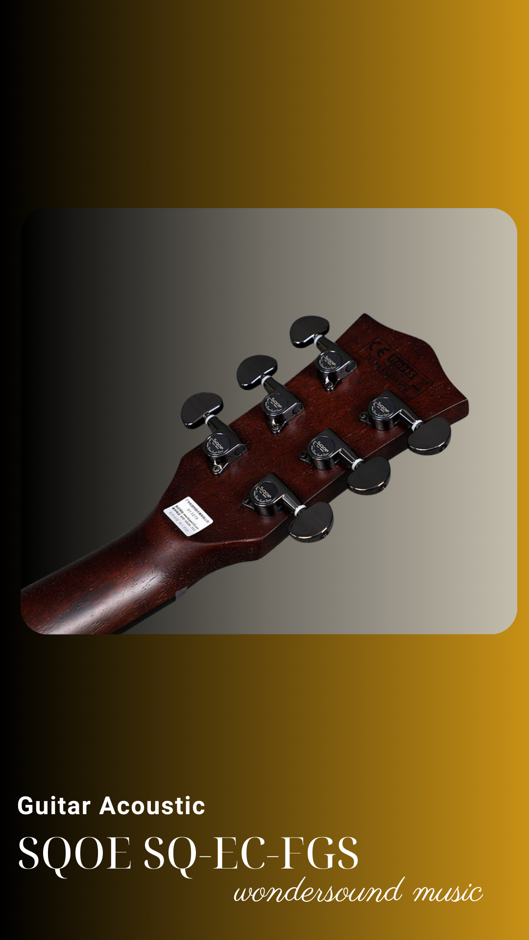 ACOUSIC GUITAR SQOE SQ-EC-FGS