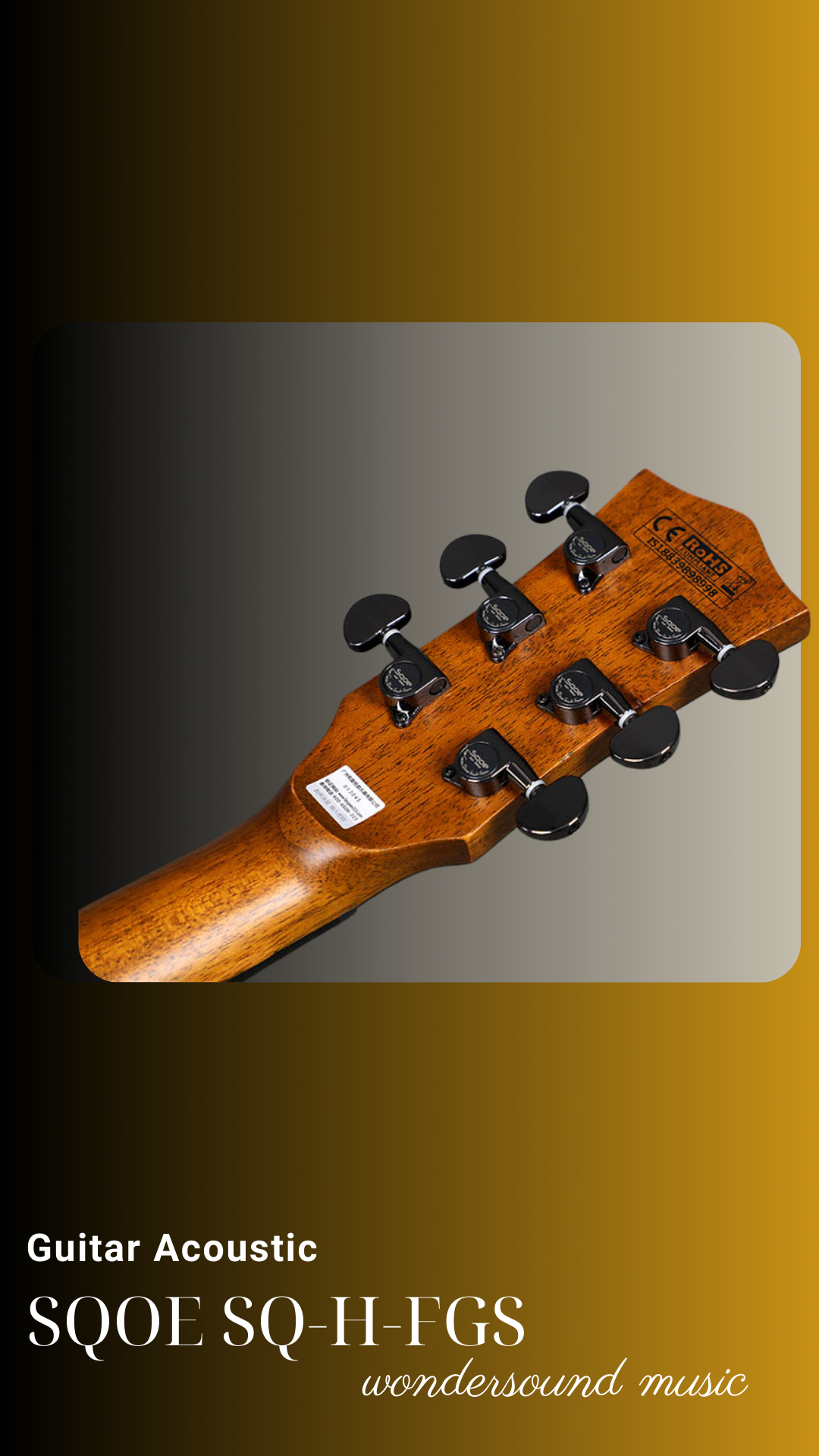 ACOUSIC GUITAR SQOE SQ-H-FGS