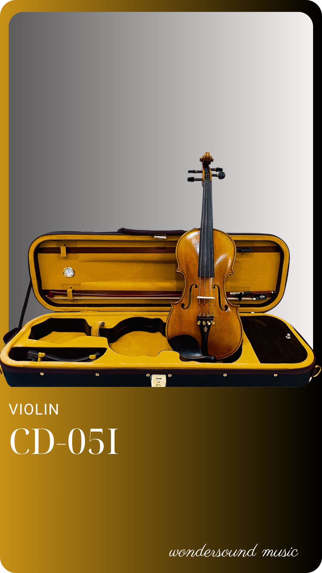 ĐÀN VIOLIN CD 05I