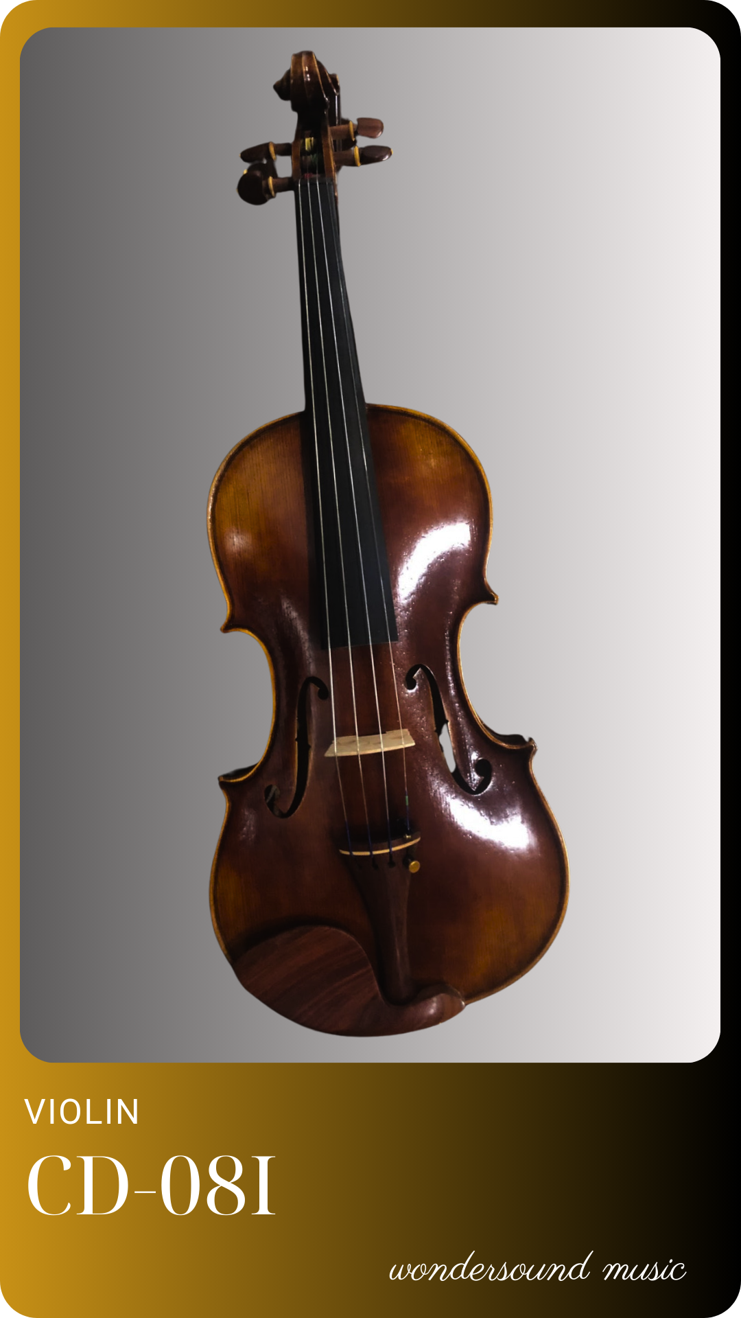ĐÀN VIOLIN CD 08I