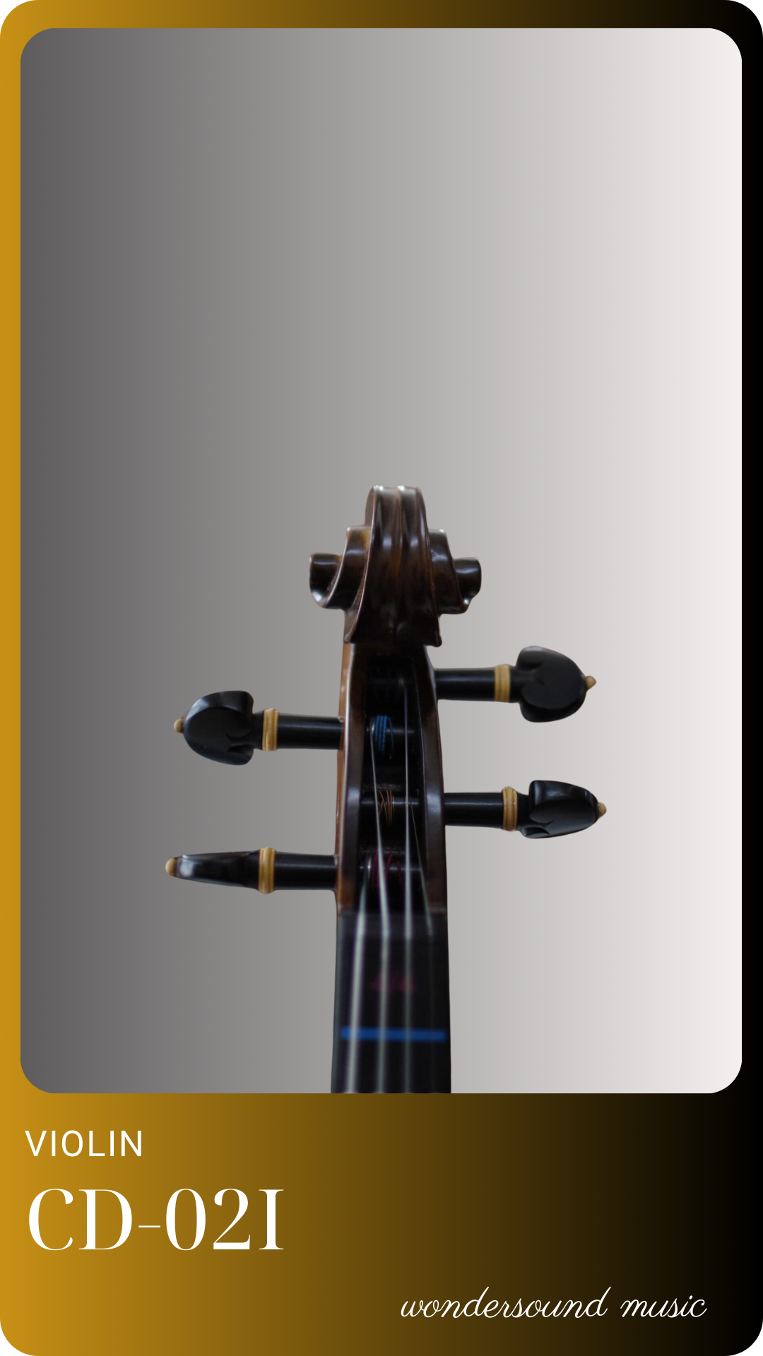 ĐÀN VIOLIN CD 02I