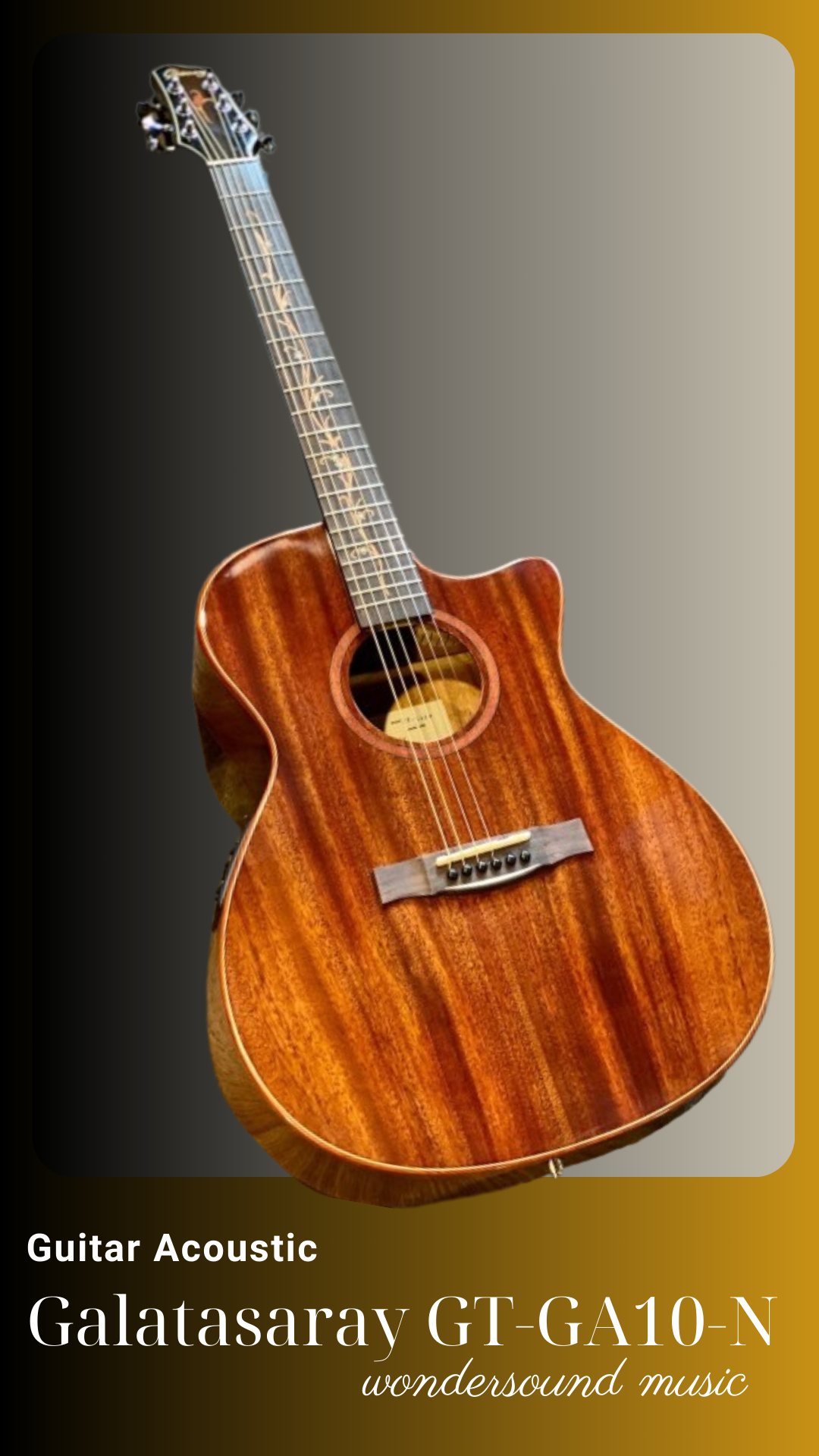 ACOUSIC GUITAR GALATASARAY GT-GA10-N