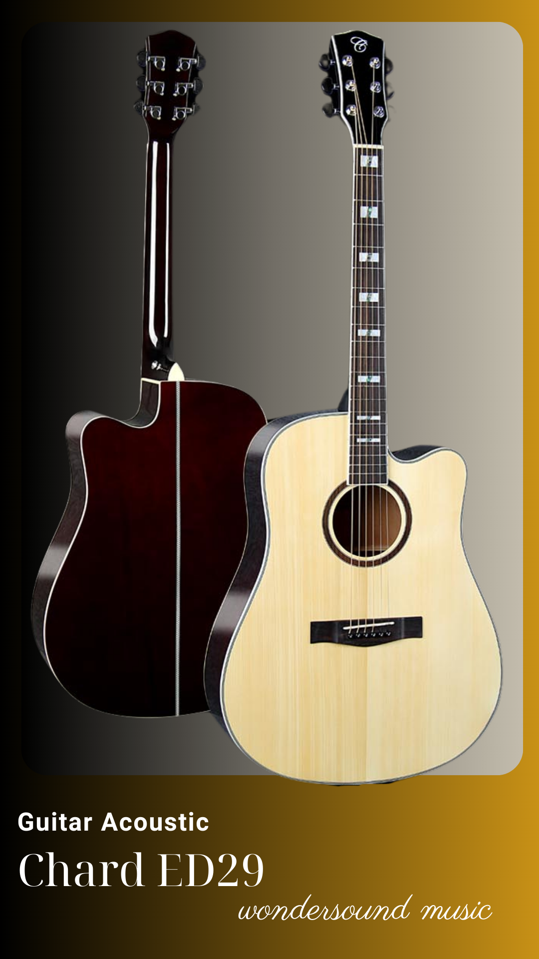 ACOUSIC GUITAR CHARD ED29