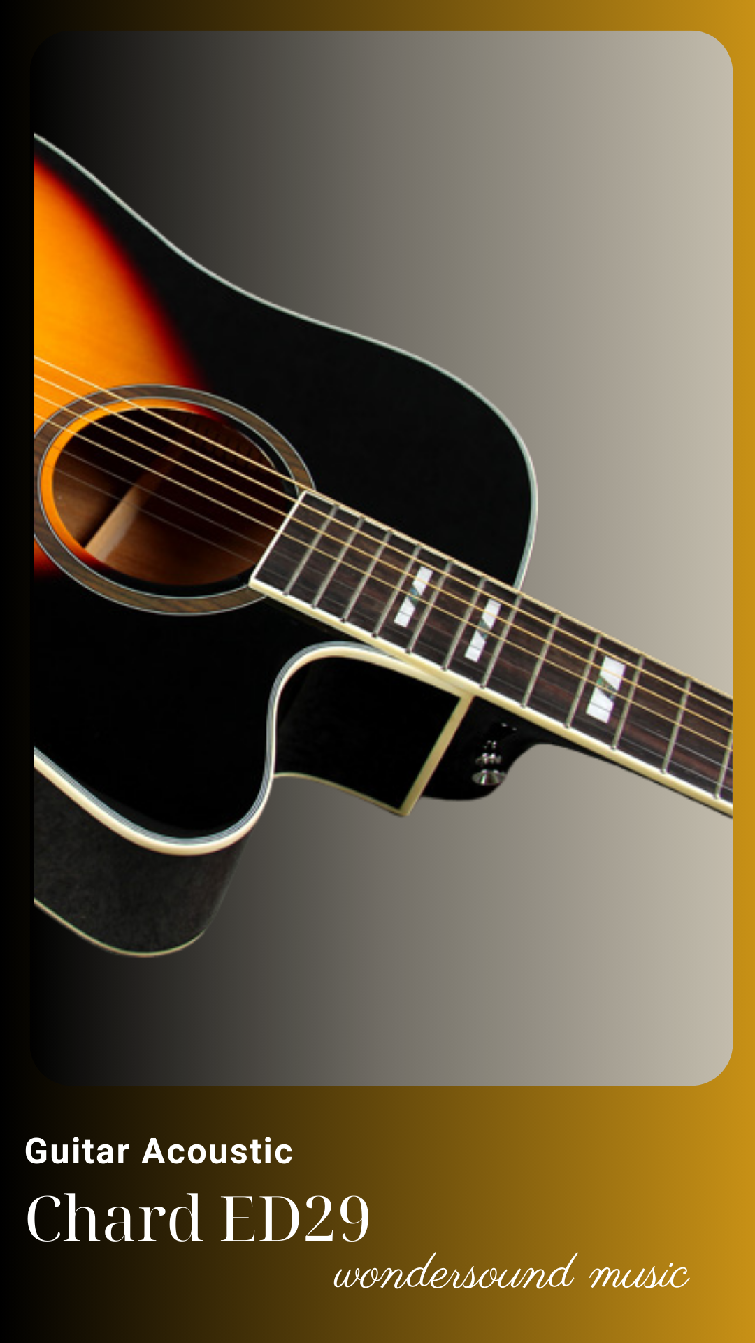 ACOUSIC GUITAR CHARD ED29