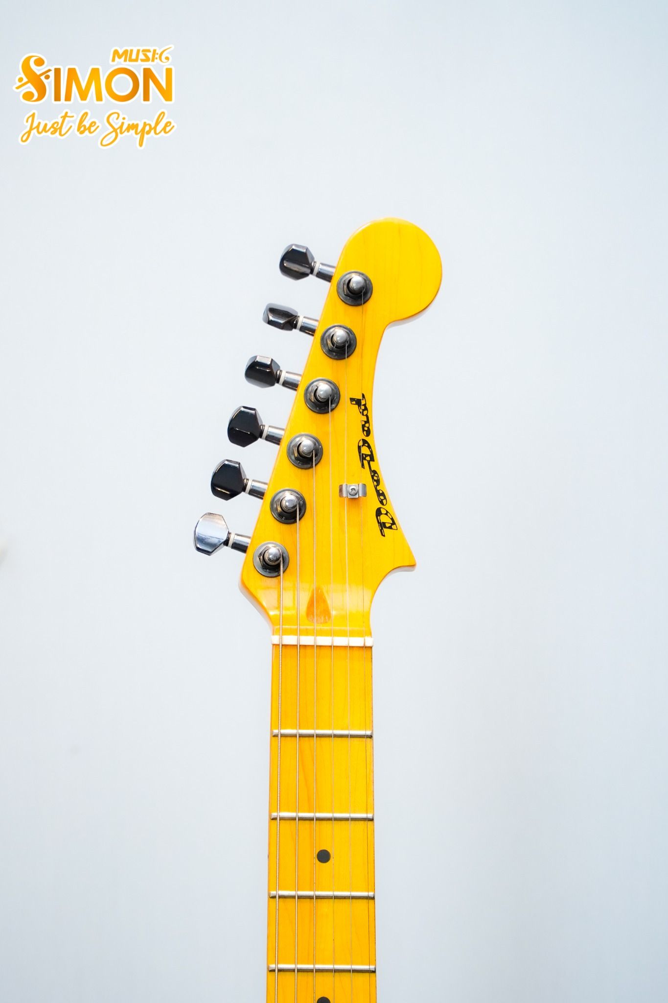 Electric Guitar stratocaster