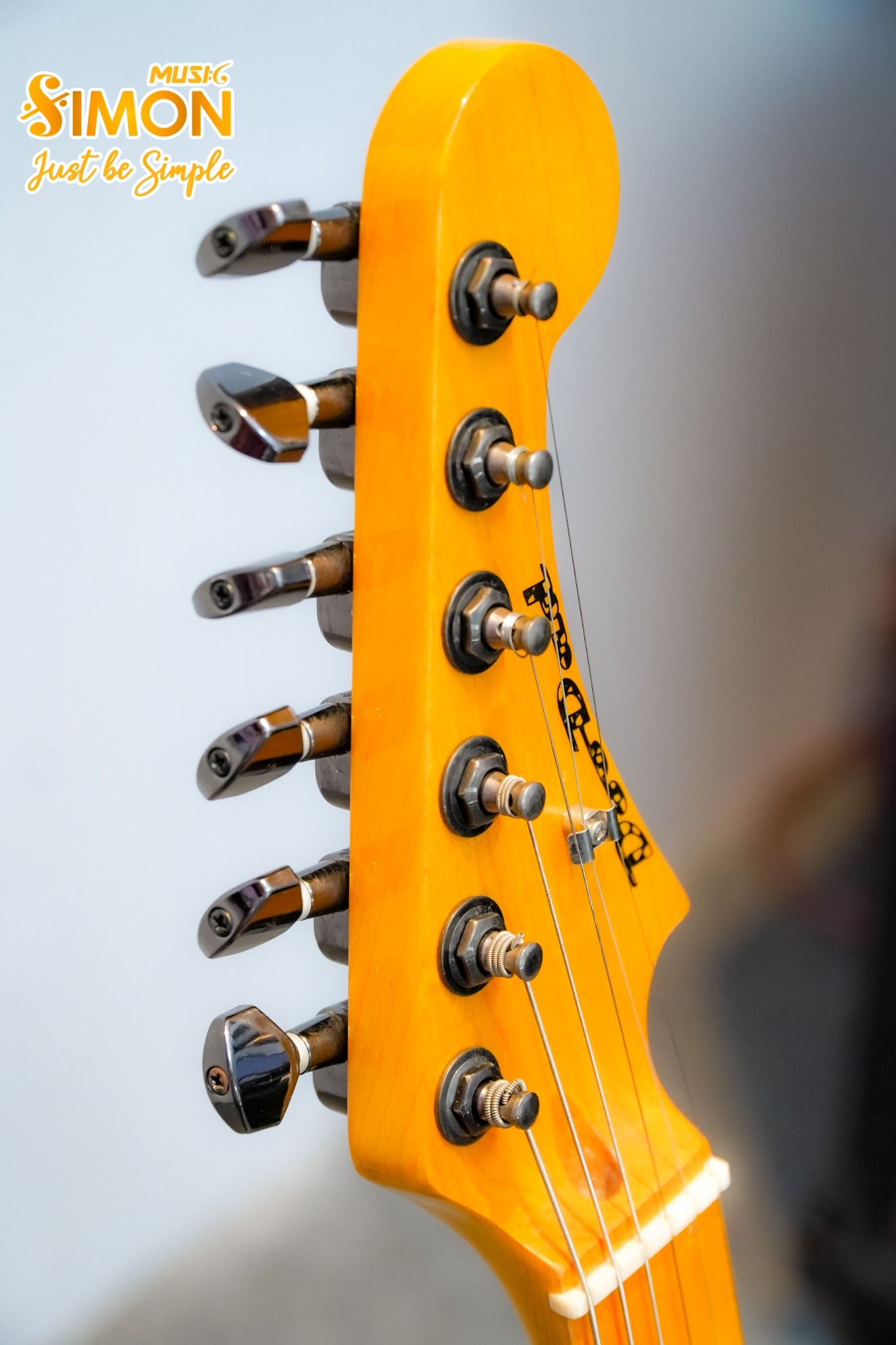 Electric Guitar stratocaster