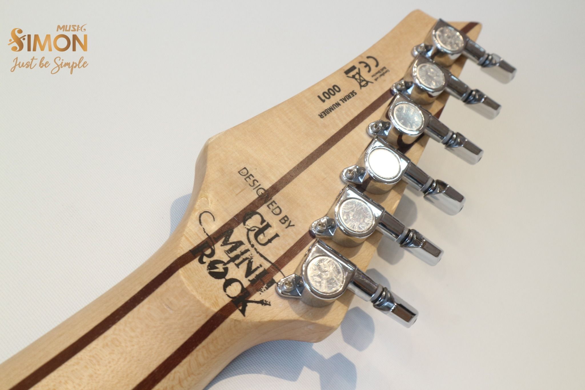 Electric Guitar Jacob JS300
