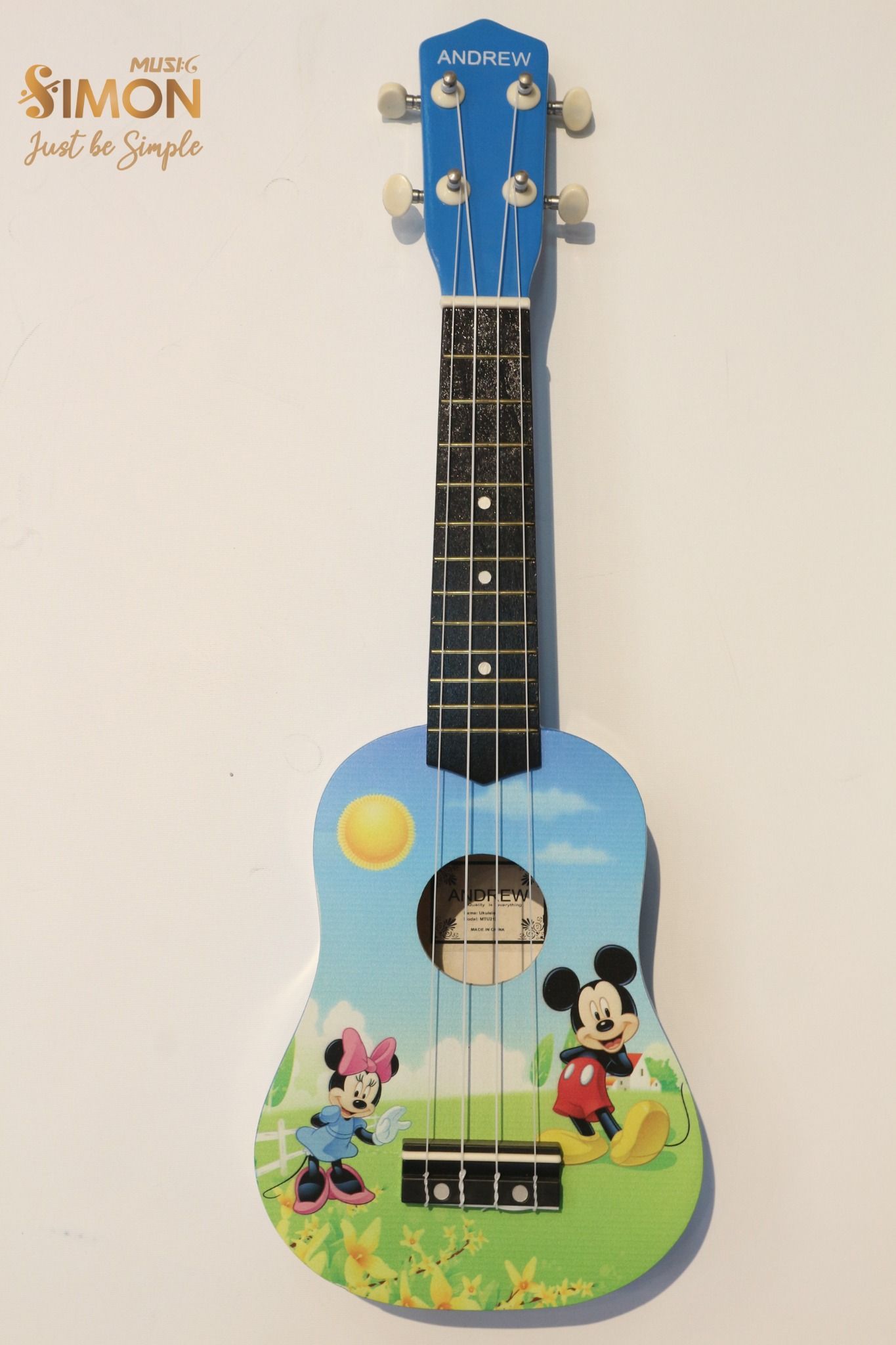 COLORFUL UKULELE