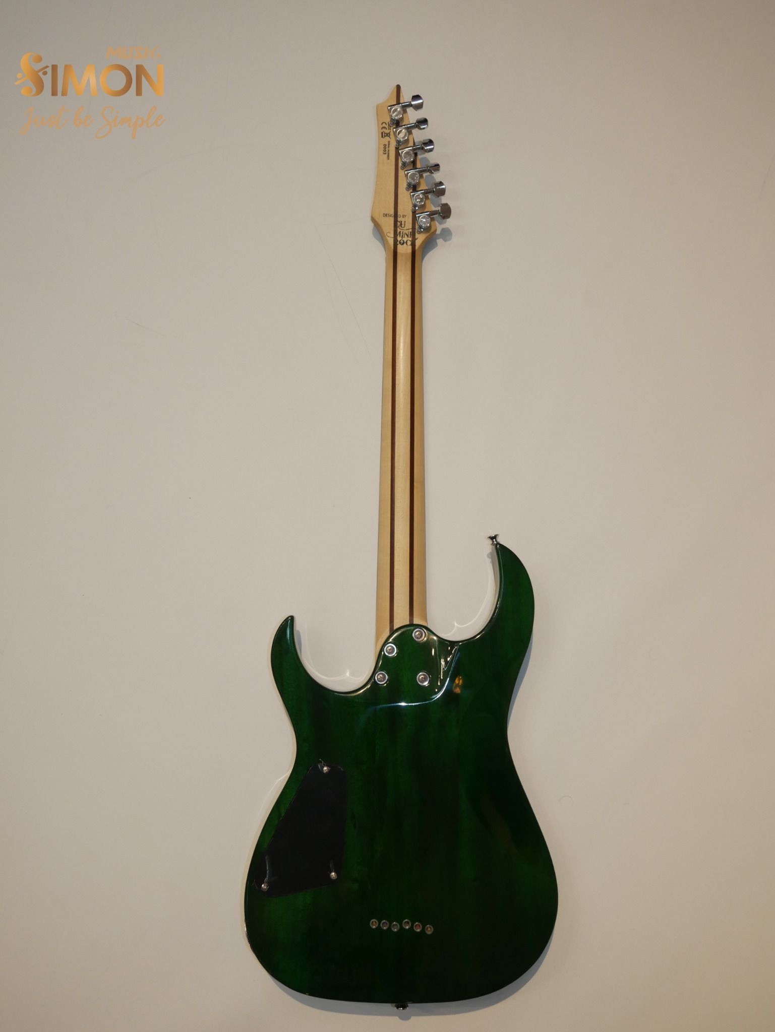 Electric Guitar Jacob JS300