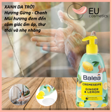 Nước rửa tay Balea hương Đào Dừa hập khẩu Đức chai 500ml (12)