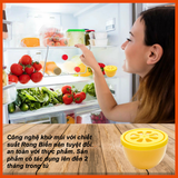 Sáp khử mùi diệt khuẩn bên trong tủ lạnh Denkmit (9)