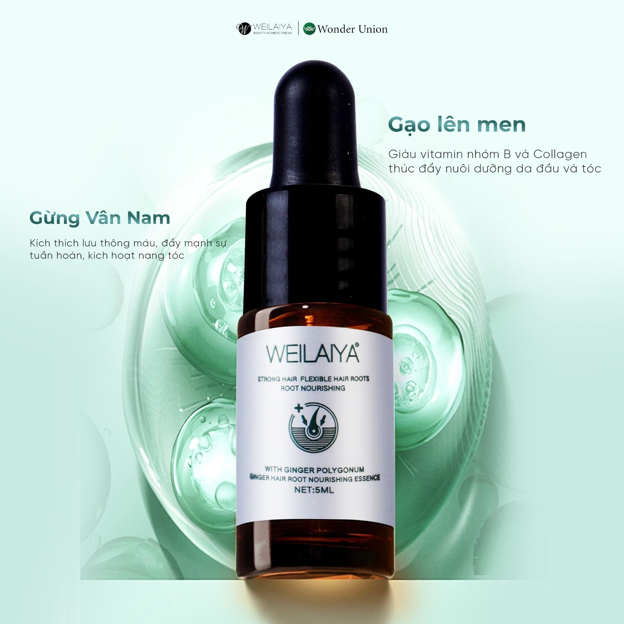 Combo giảm rụng tóc và kích thích mọc tóc Weilaiya (dành cho tóc dầu bết)