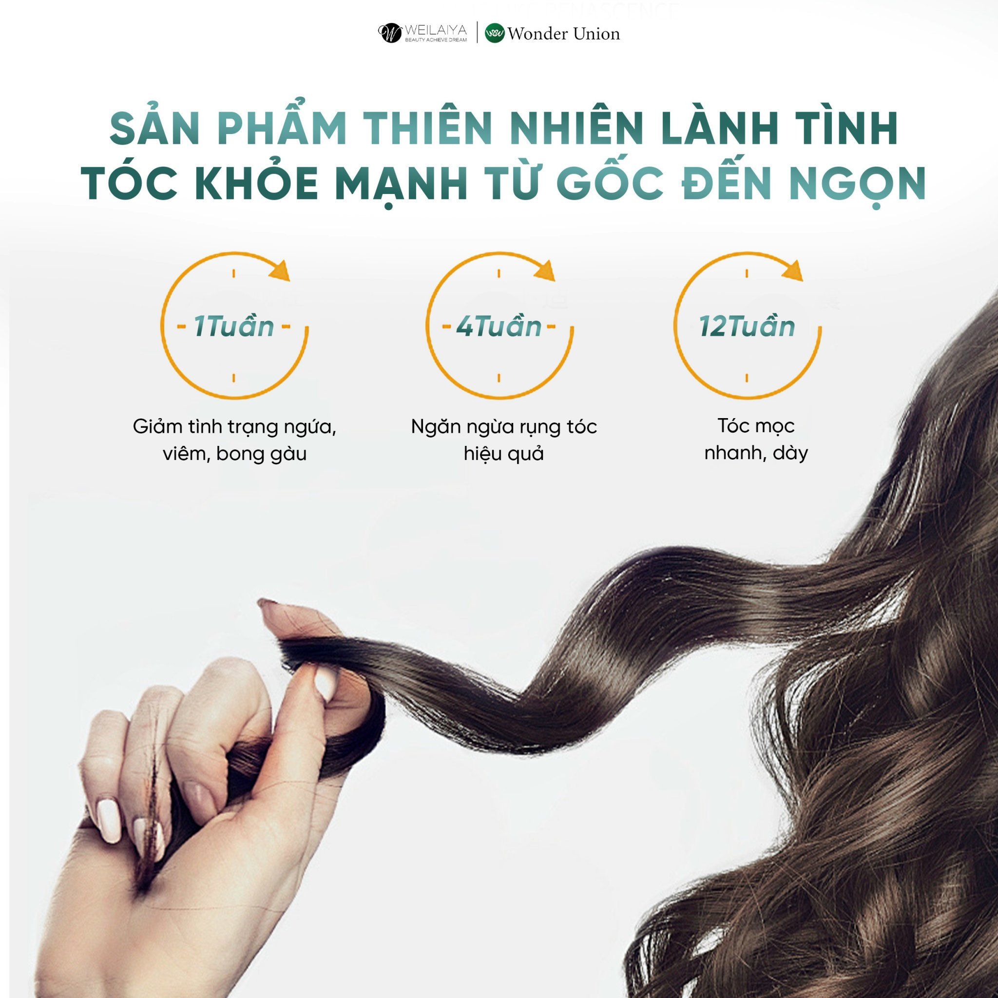 Combo giảm rụng tóc và kích thích mọc tóc Weilaiya (dành cho tóc dầu bết)