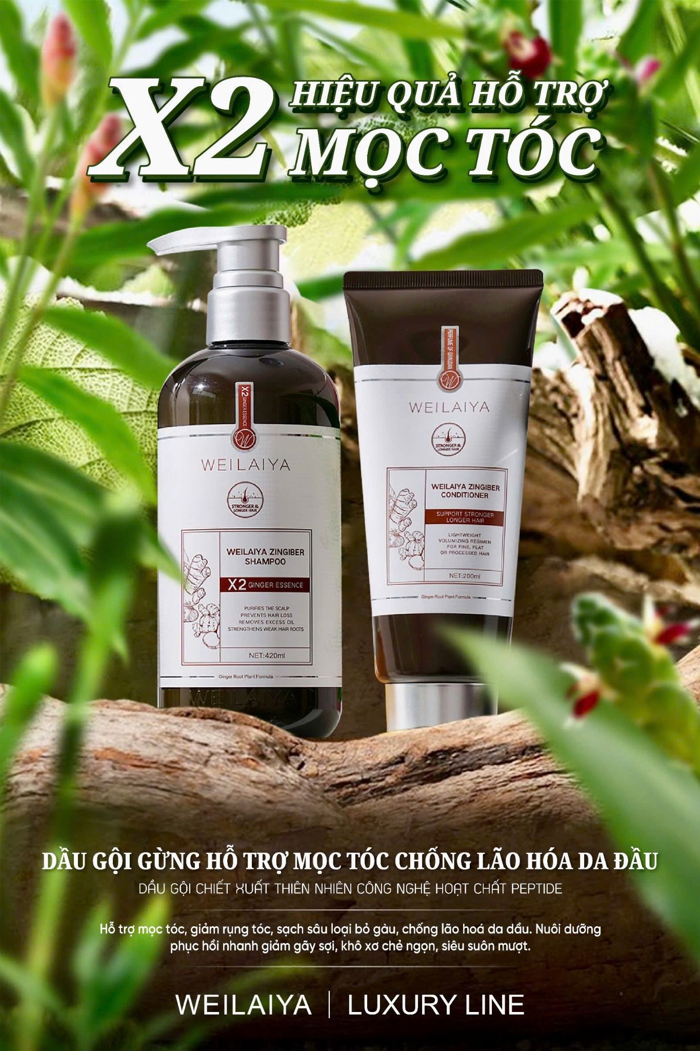 Bộ dầu gội gừng hỗ trợ mọc tóc và chống lão hóa da đầu Weilaiya Luxury 420mlx200ml