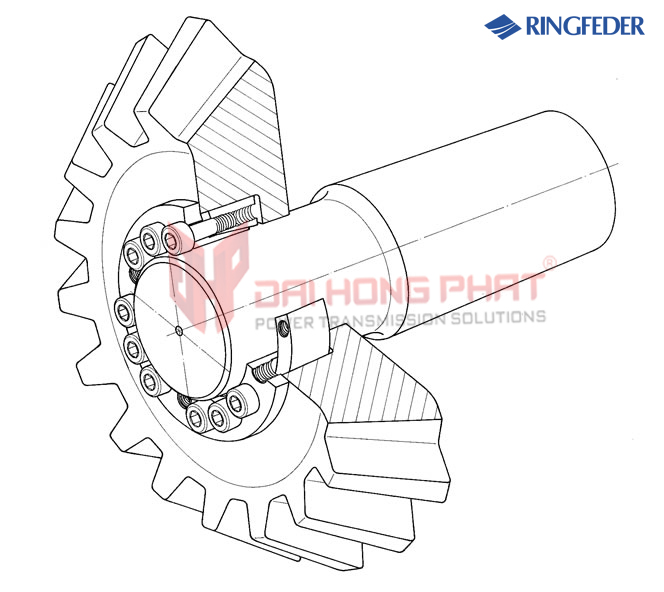 Khớp Khóa Trục Ringfeder RfN 7013.1 Đại Hồng Phát