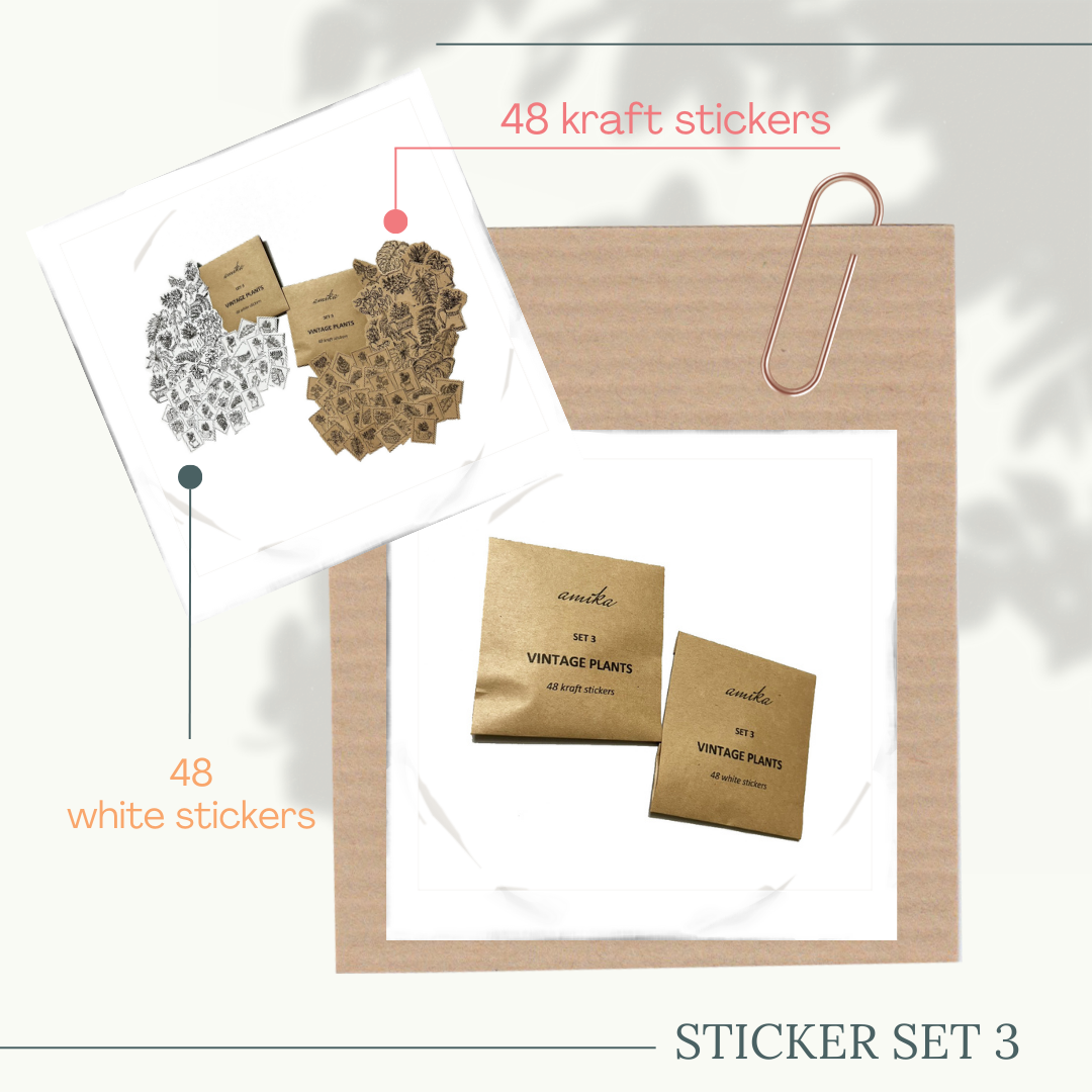SET 3: VINTAGE PLANTS - 48 stickers họa tiết bình hoa, cành lá