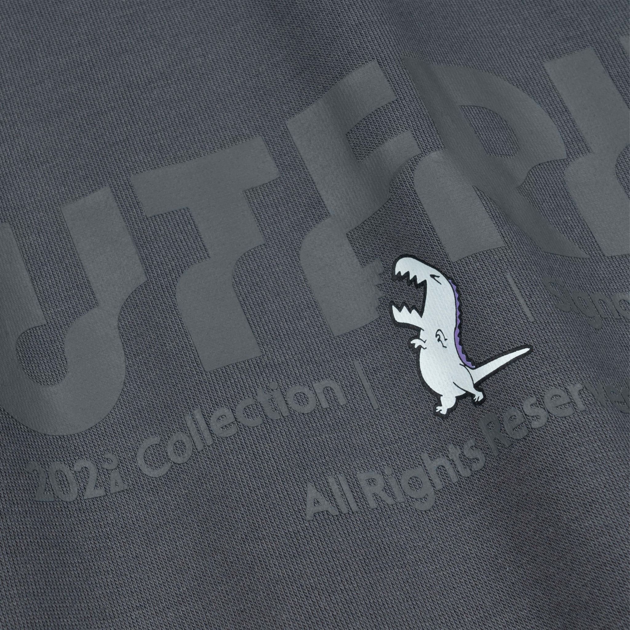 Outerity Basic Hoodie Double Zip Dino / Gray pintripe
