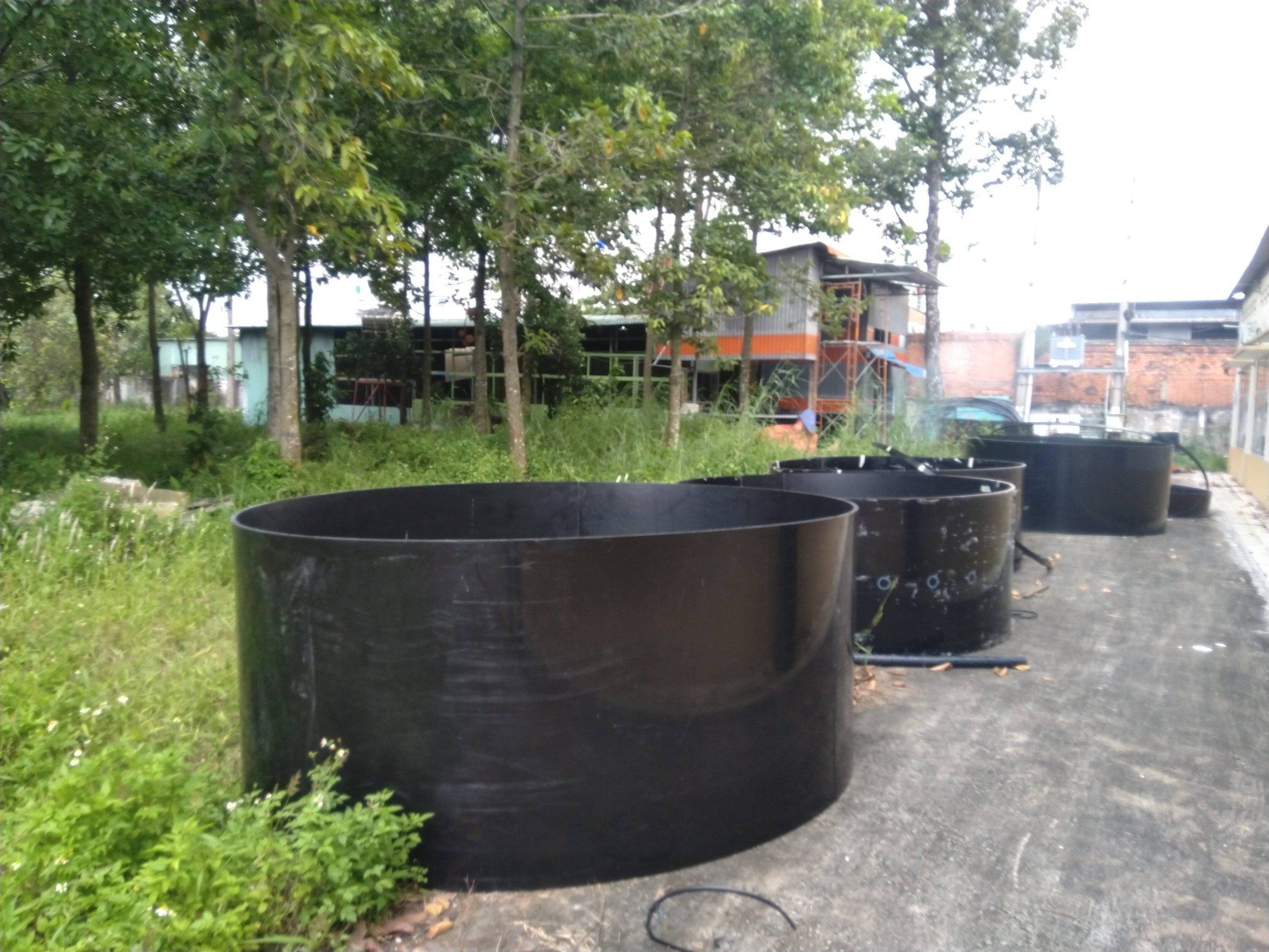 Tấm nhựa PE Rochling - Đức (UHMW-PE)