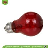 Bóng đèn sưởi ban đêm cho bò sát | Nightlight Red Reptile Bulb | ZOOMED